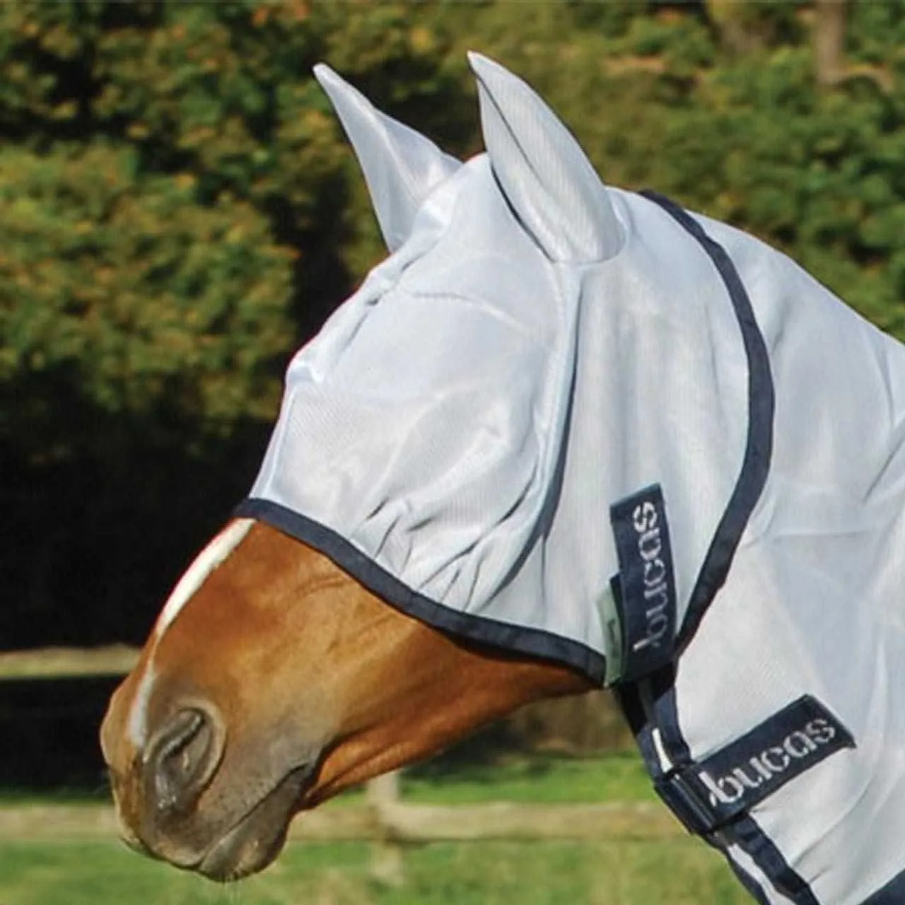Bucas Buzz-off fly mask
