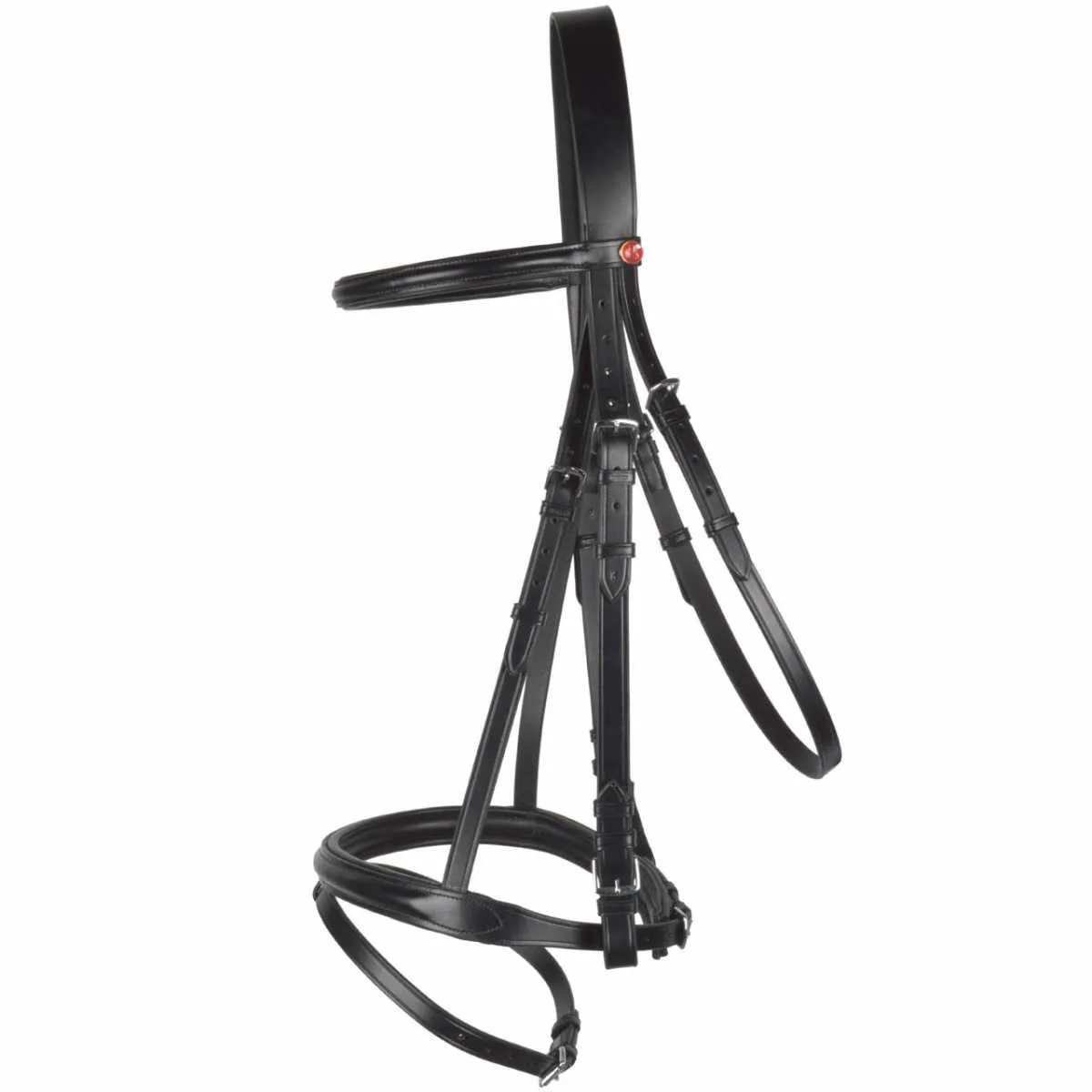Kieffer cold blood bridle