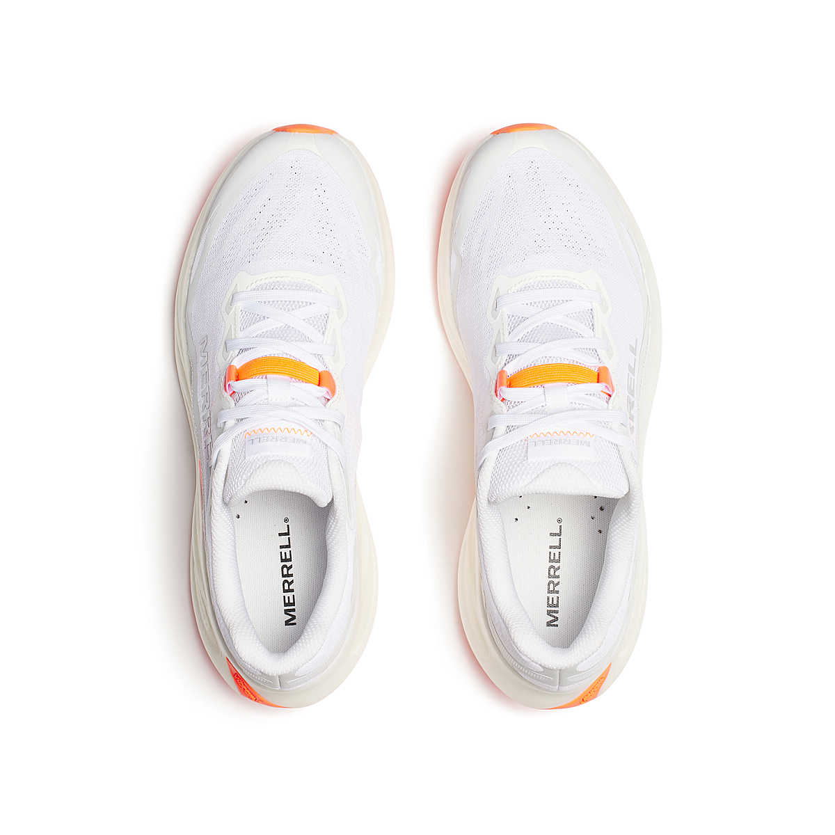 Men's ProMorph