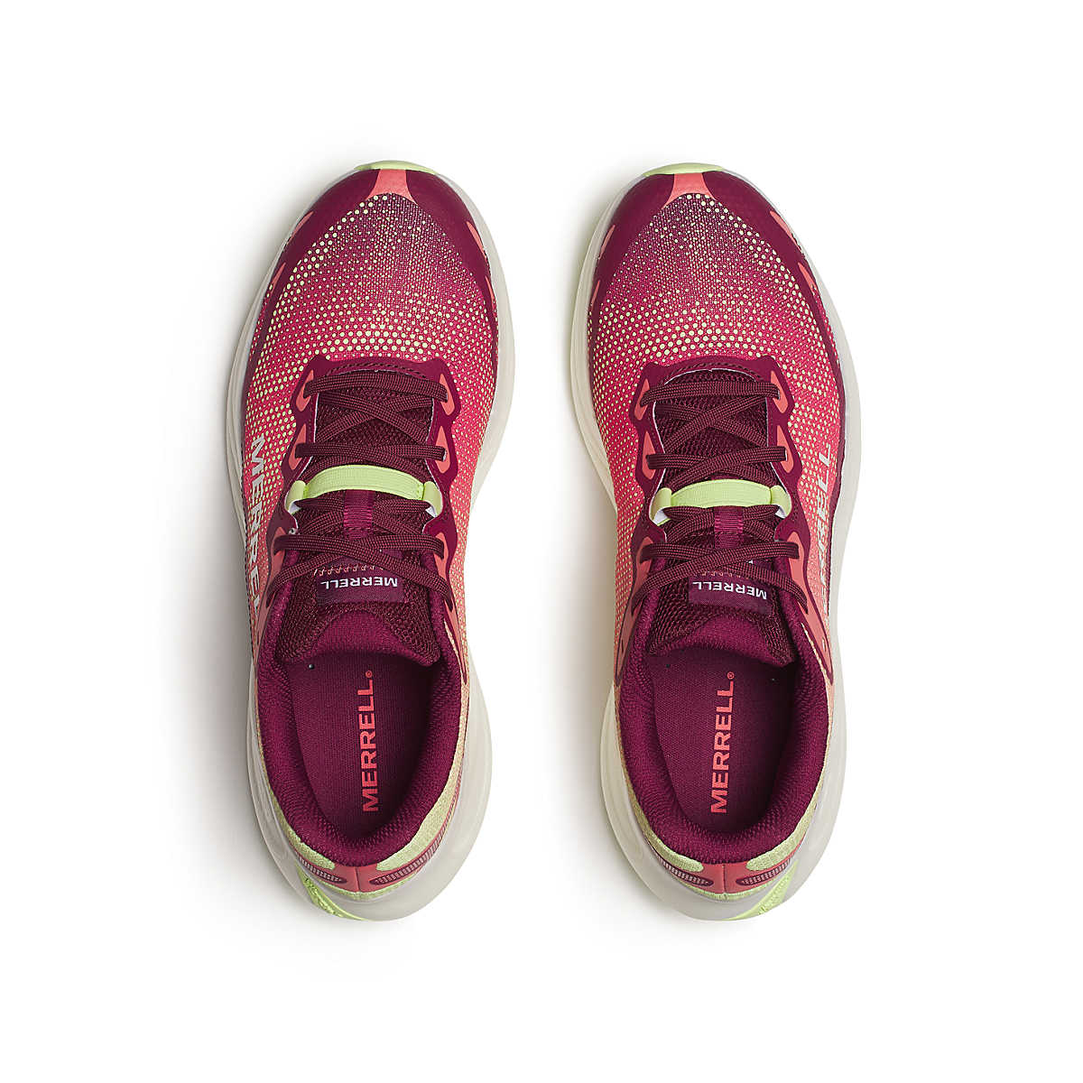 Men's ProMorph