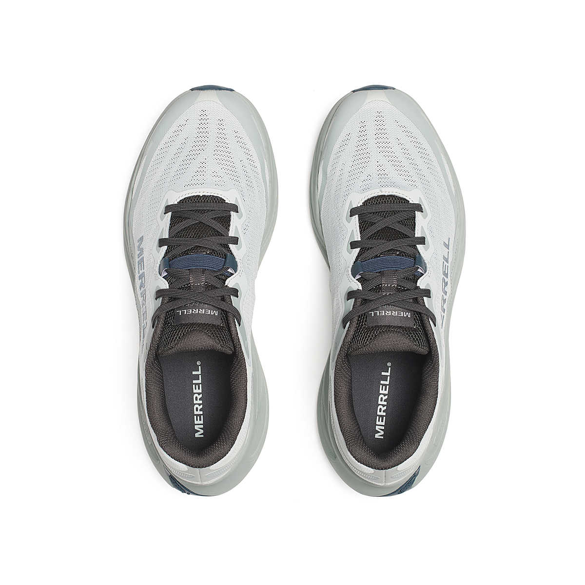 Men's ProMorph
