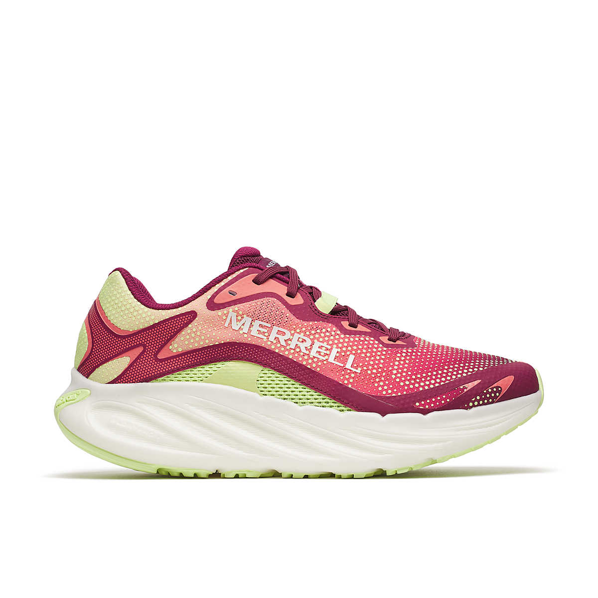 Men's ProMorph