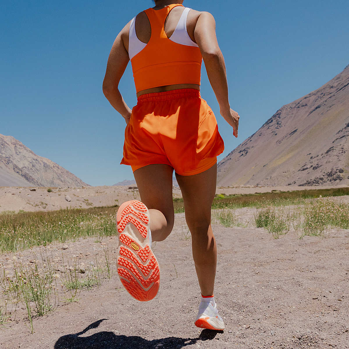 Women's ProMorph
