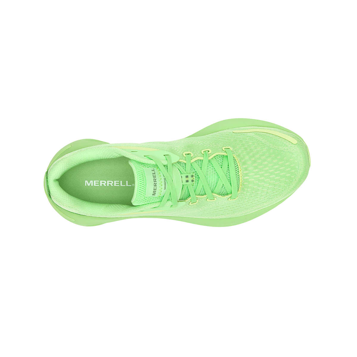 Men's Morphlite