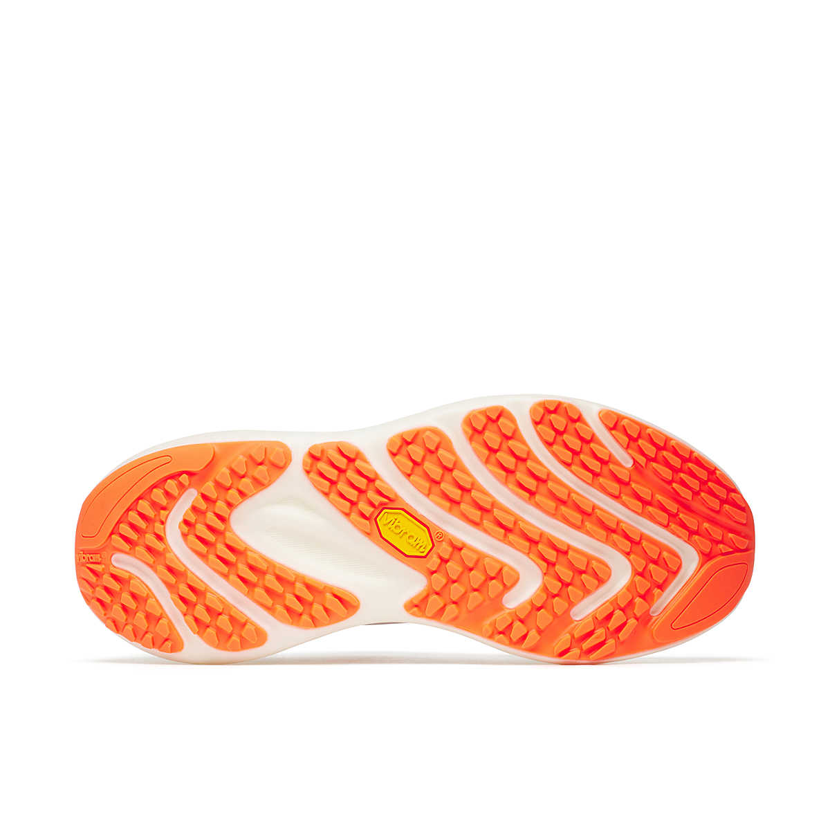 Men's ProMorph