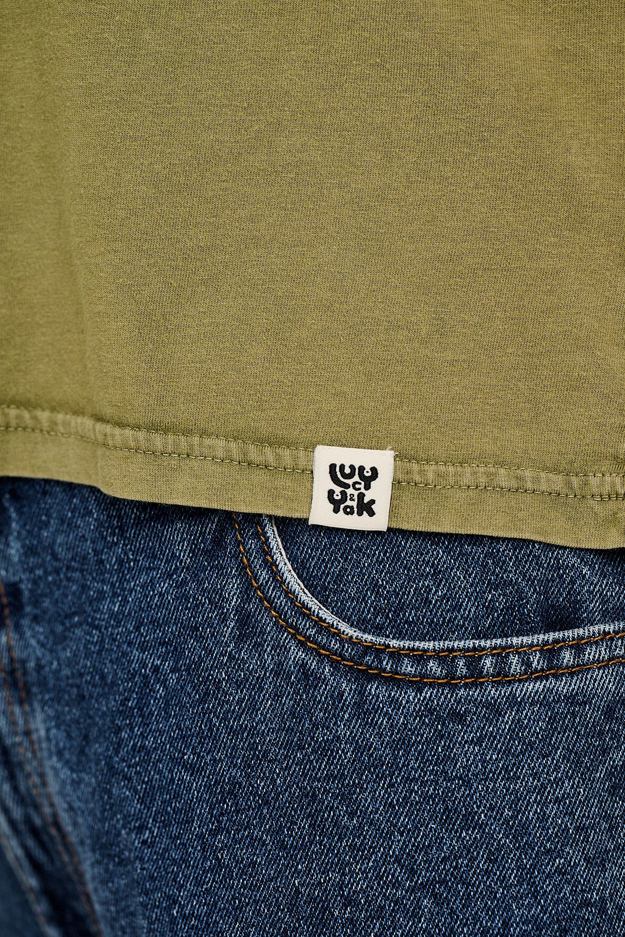 Zayla - Cropped Boxy Tee in Herb Garden Green