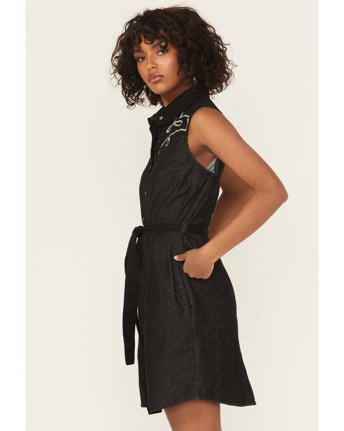 Panhandle Women's Embroidered Sleeveless Mini Dress