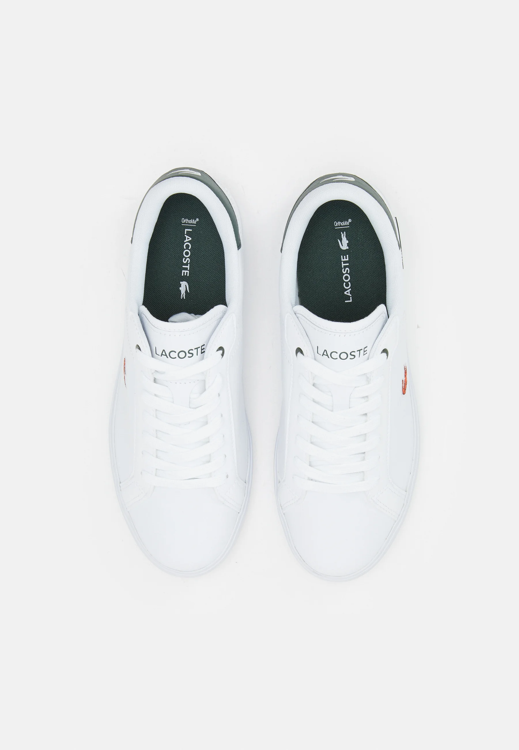 Lacoste Sneakers basse