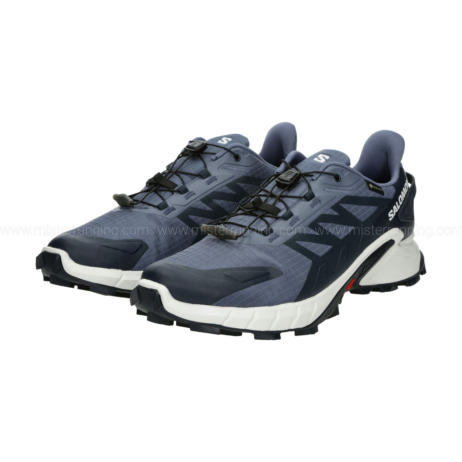 Salomon Supercross 4 GTX Grisaille/White/Carbon