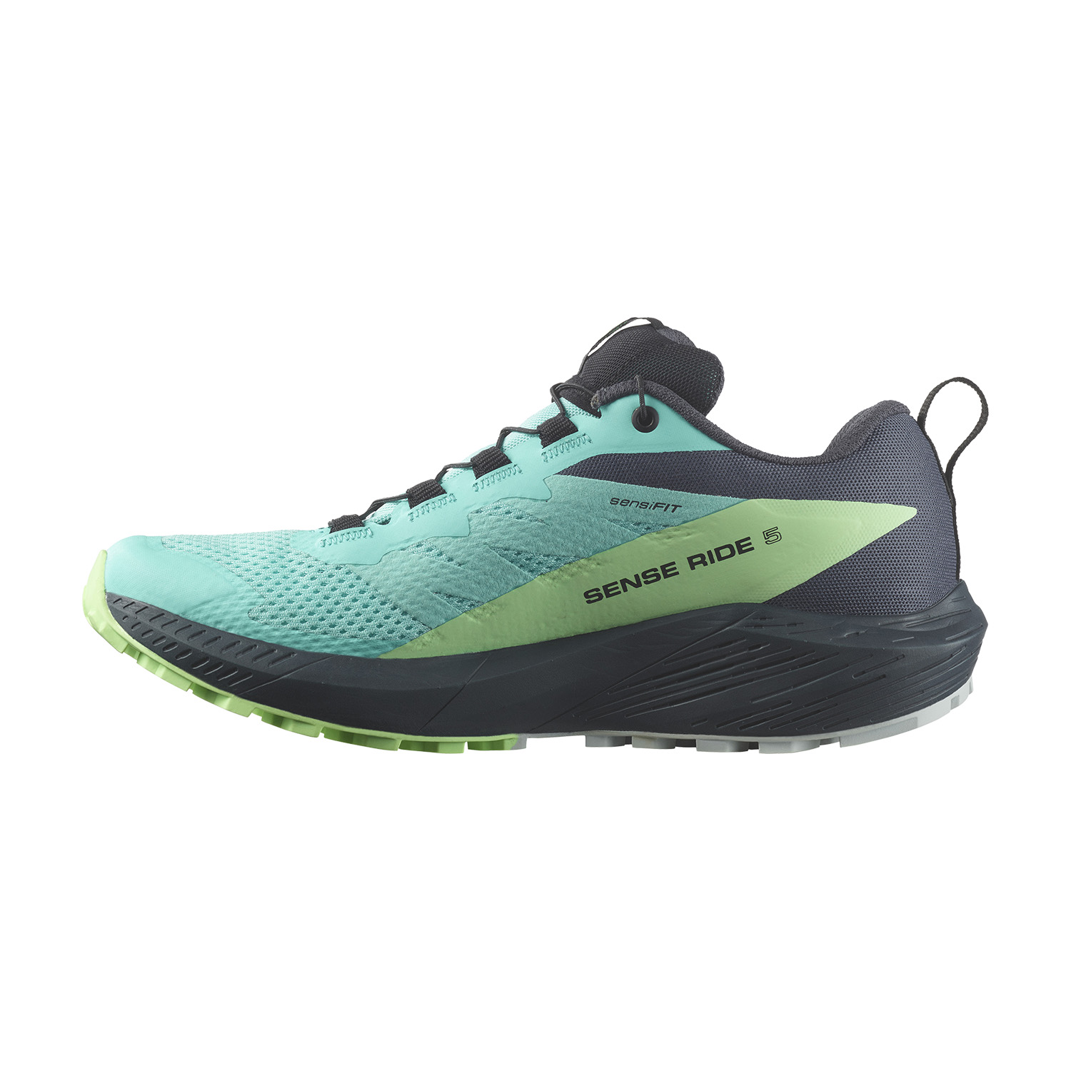 Salomon Sense Ride 5 GTX Blue Radiance/Green Ash/India Ink