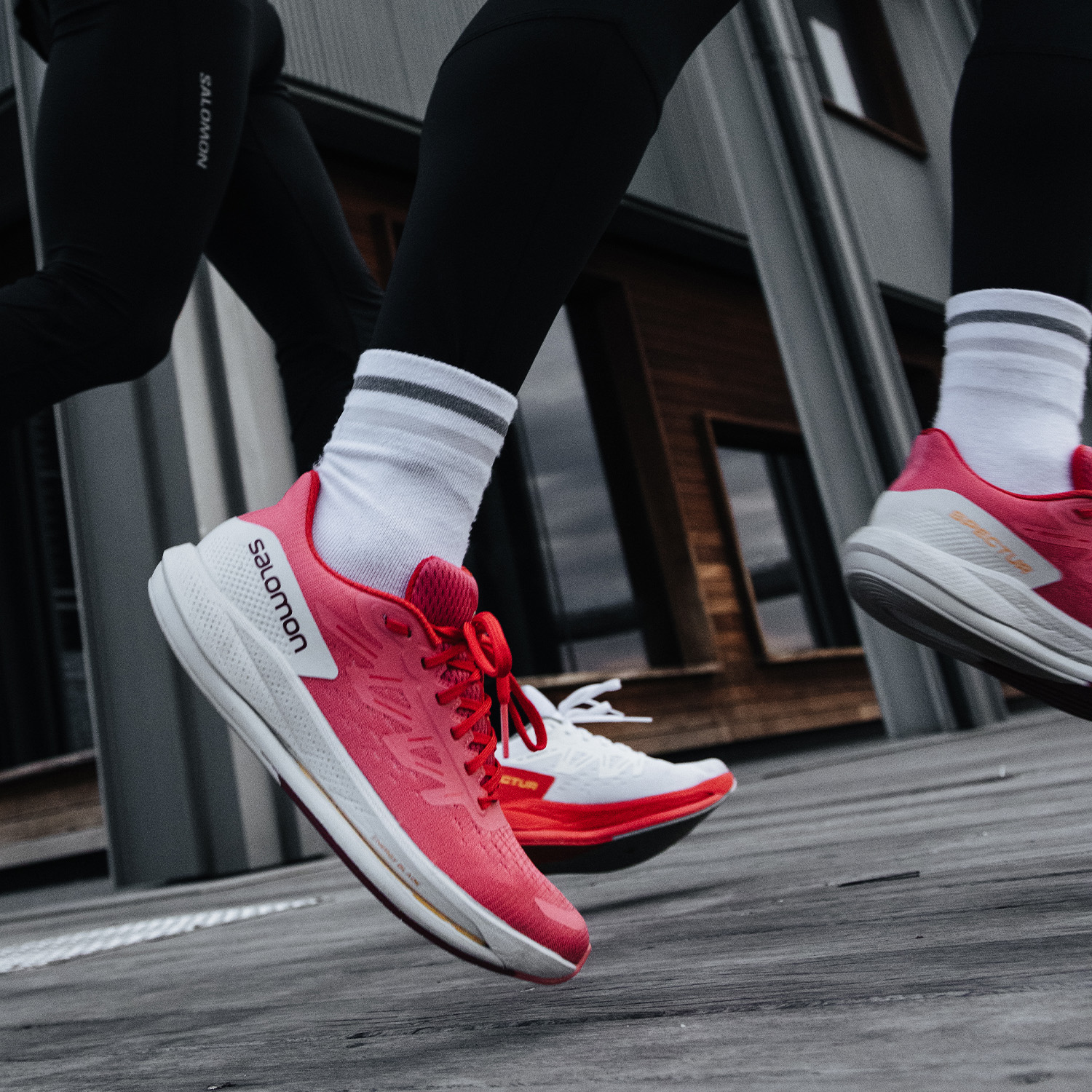 Salomon Spectur Tea Rose/Lunar Rock/Poppy Red