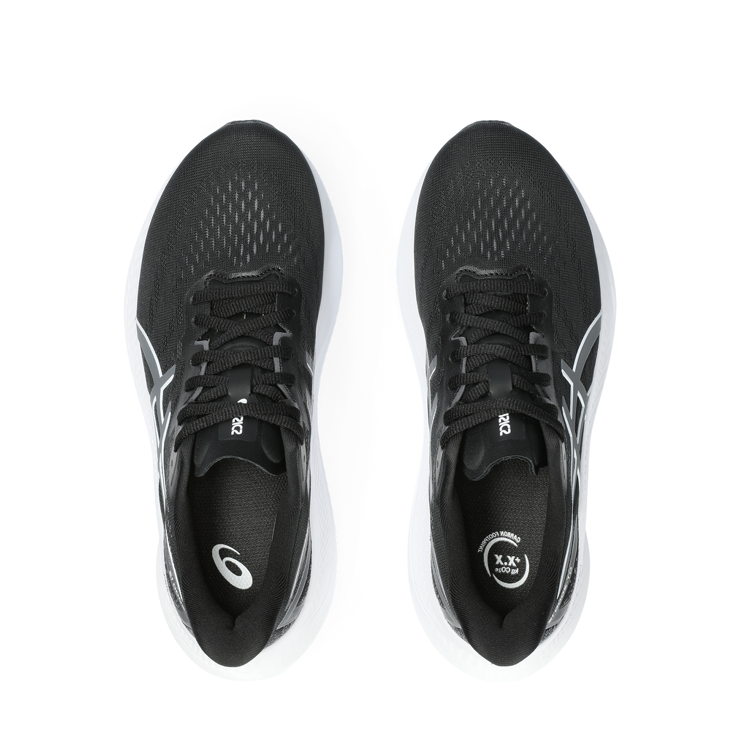 Asics GT 2000 12 Black/Carrier Grey