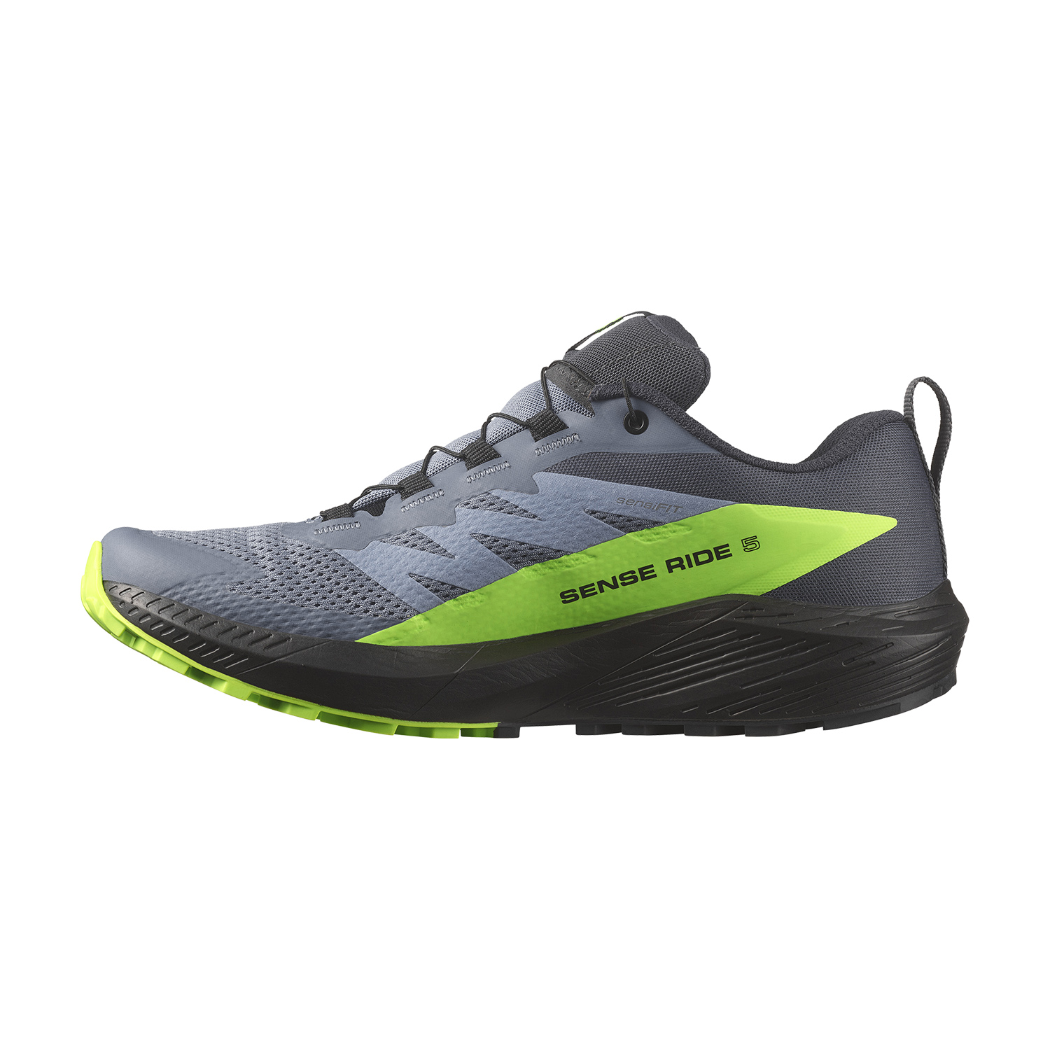 Salomon Sense Ride 5 GTX Flint Stone/Black/Green Gecko