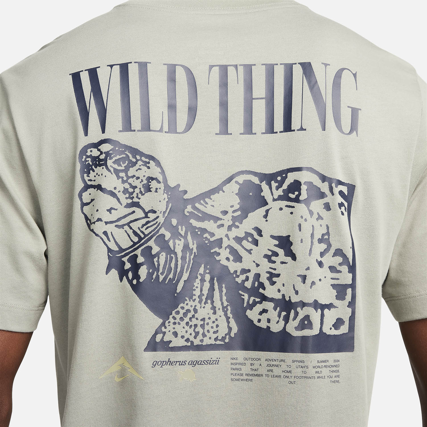 Nike Dri-FIT Trail Maglietta Dark Stucco