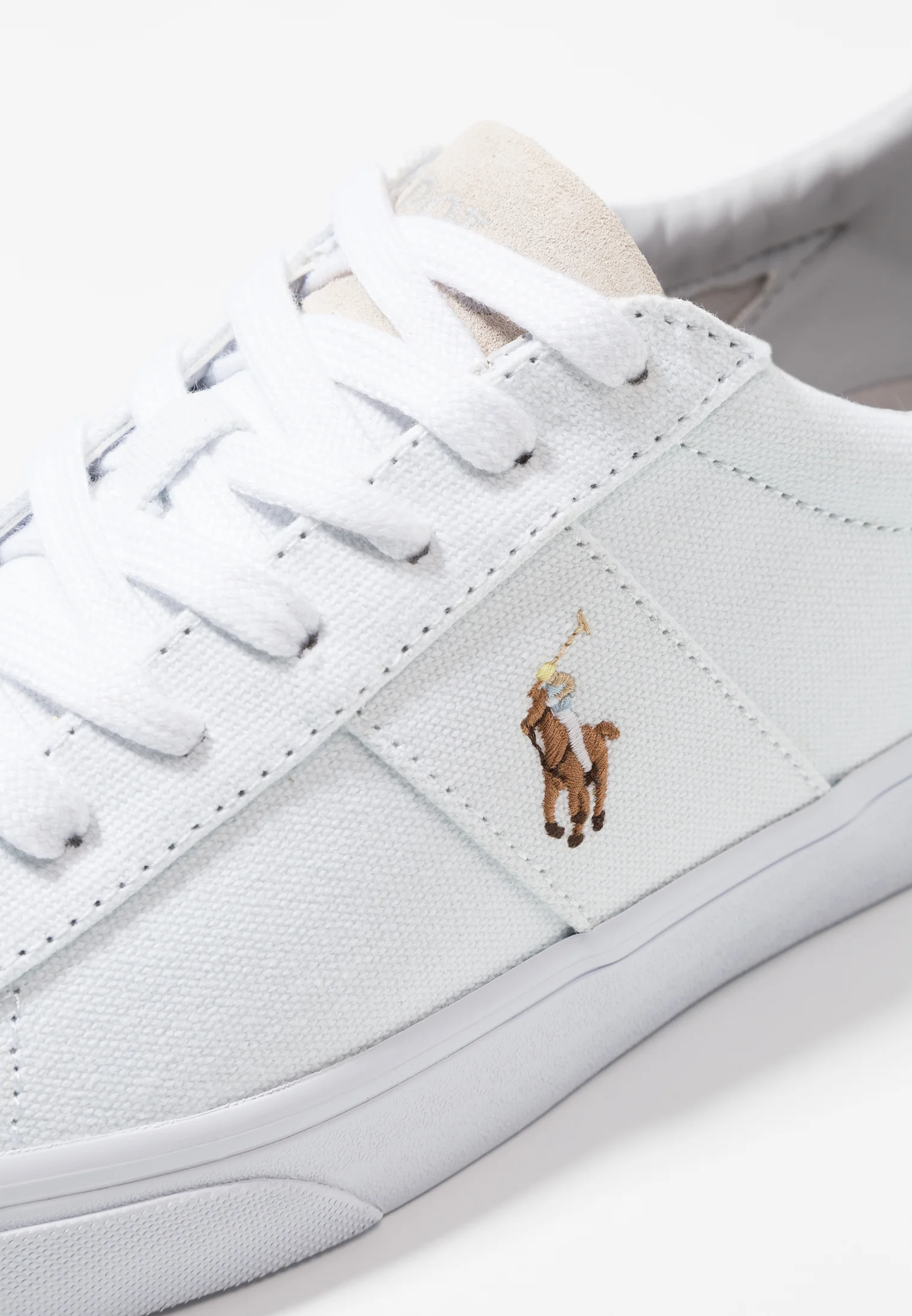 Polo Ralph Lauren SAYER CANVAS SNEAKER - Sneakers basse