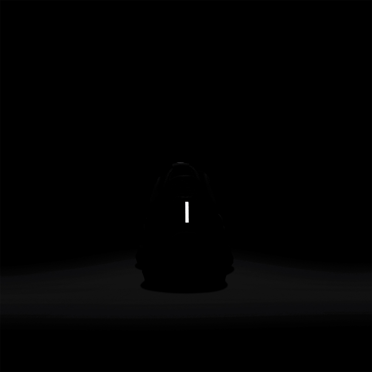 Nike Air Zoom Pegasus 40 Black/White/Iron Grey