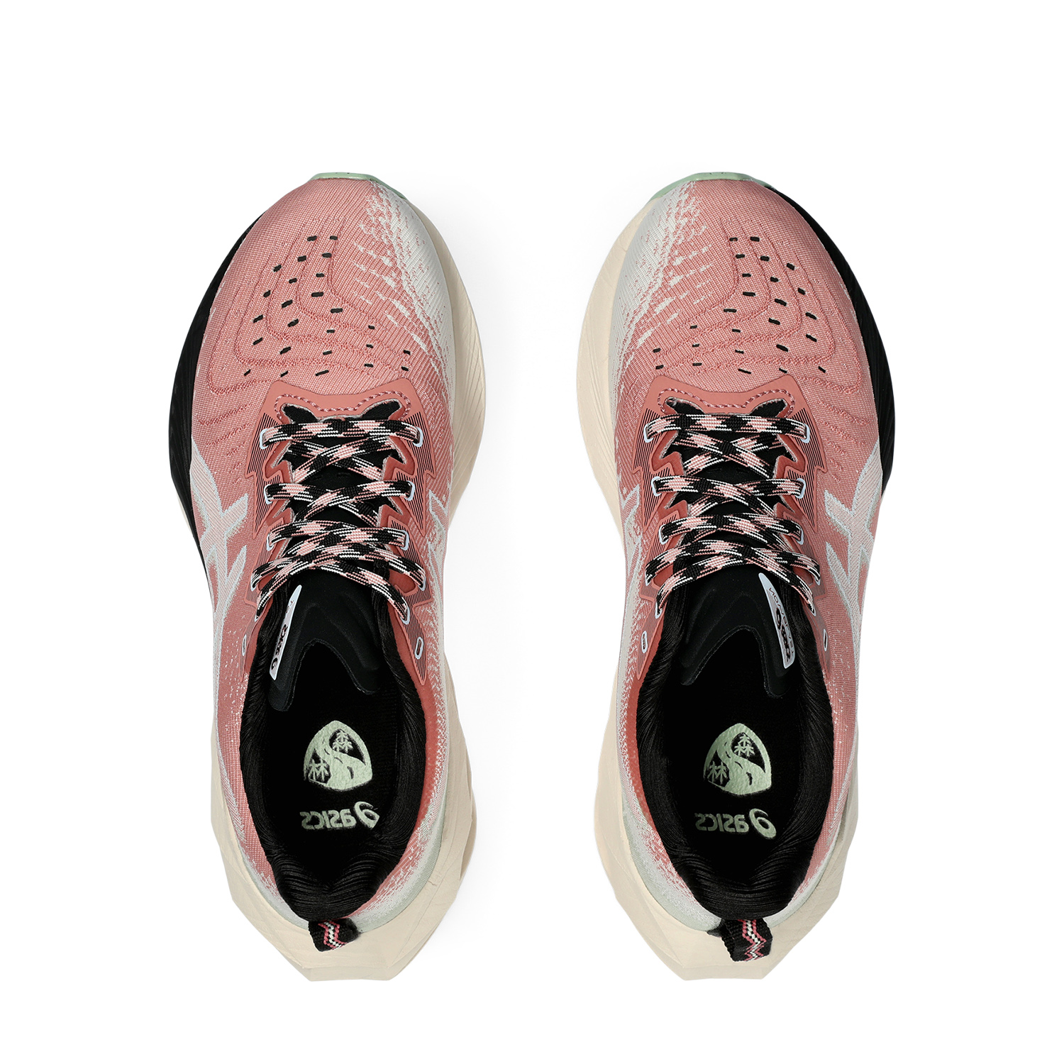 Asics Novablast 4 TR Nature Bathing/Rose Rouge