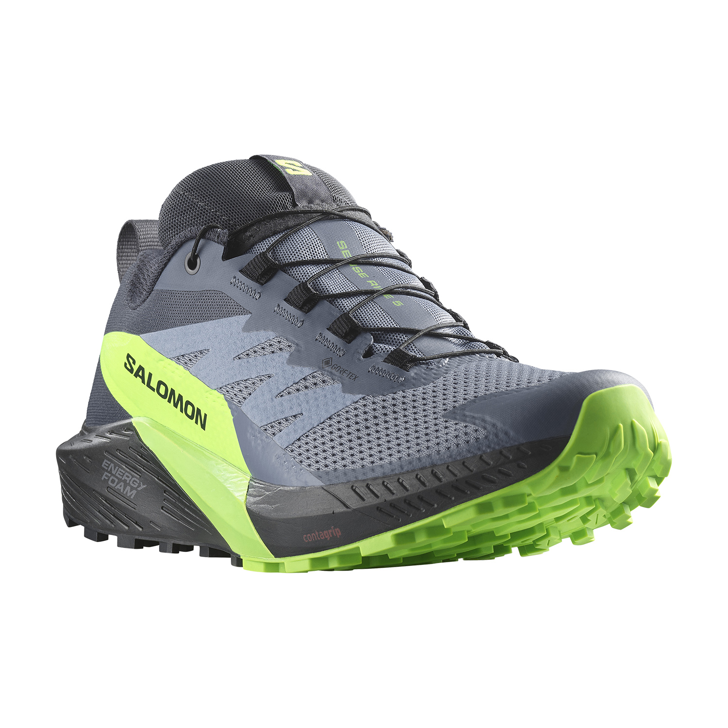 Salomon Sense Ride 5 GTX Flint Stone/Black/Green Gecko