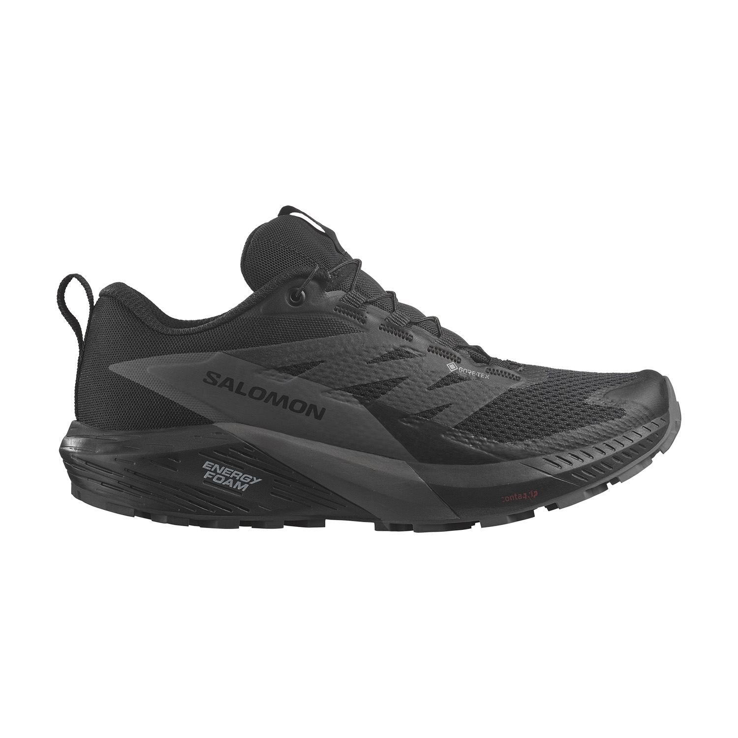 Salomon Sense Ride 5 GTX Black/Magnet