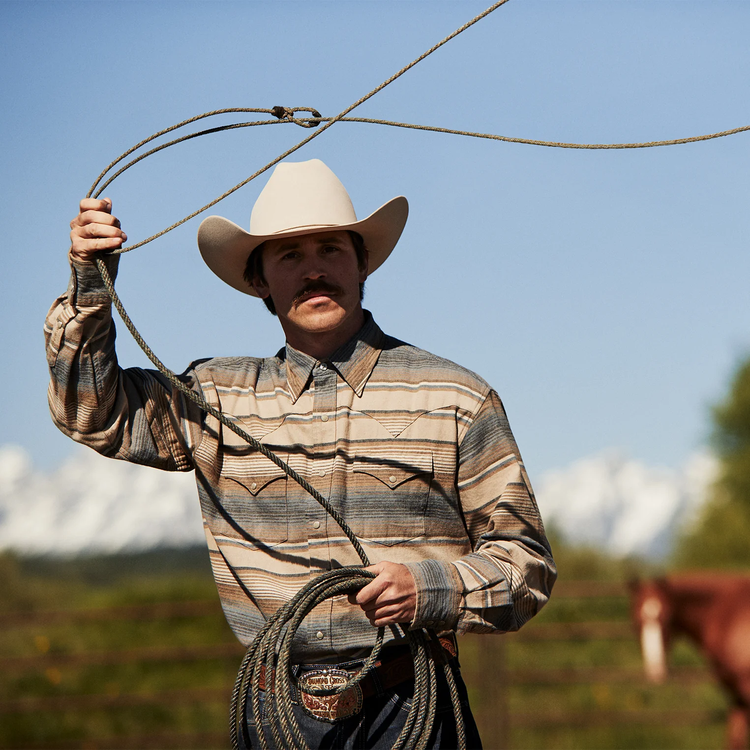 Blue Stripe Flannel Western Shirt