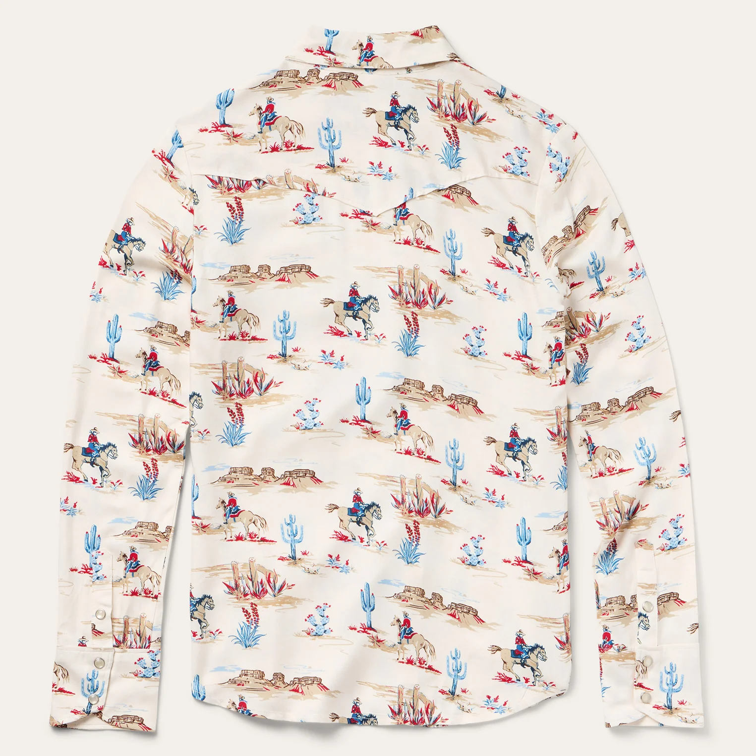 Desert Trail Print Western Shirt