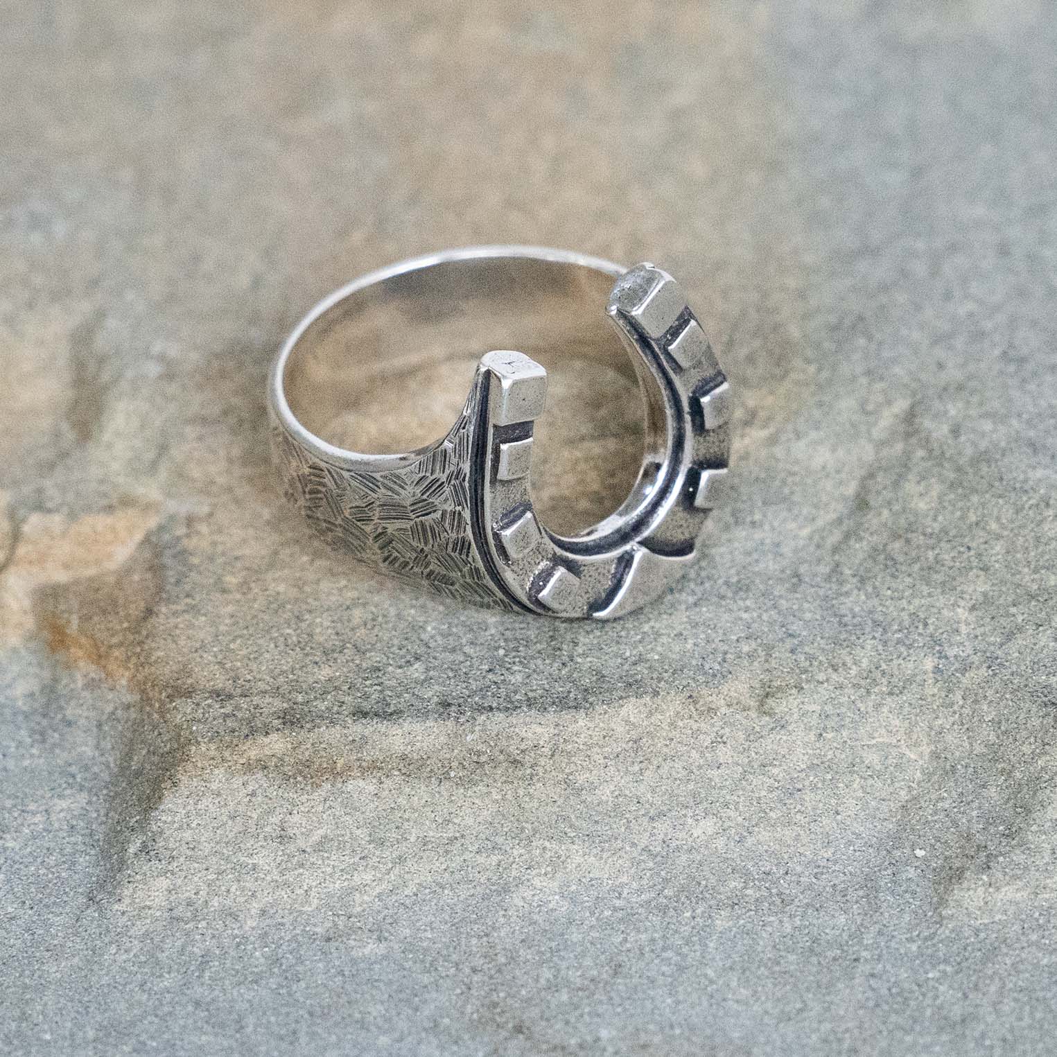 Horseshoe Ring