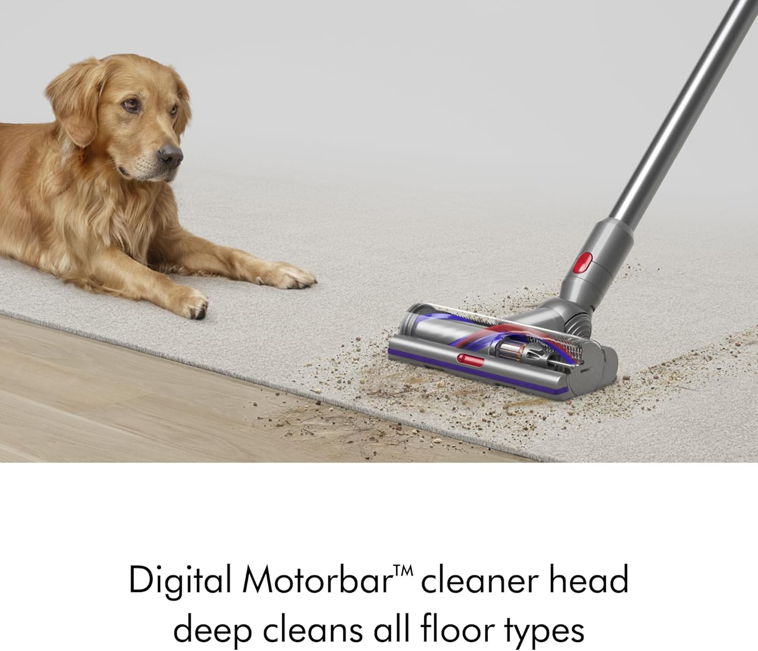 Dyson V15s Detect Submarine Wet Dry Vacuum