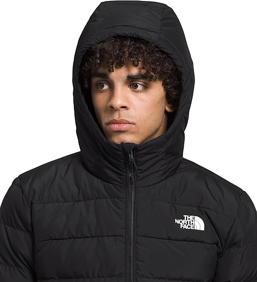 The North Face Mens Aconcagua 3 Hoodie
