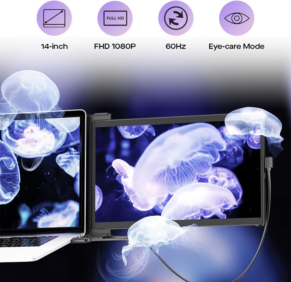 Duex Plus DS Portable Monitor