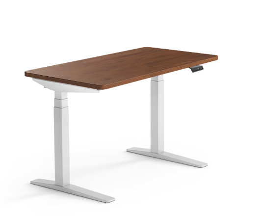 FlexiSpot Premium Standing Desk (E7 Pro)