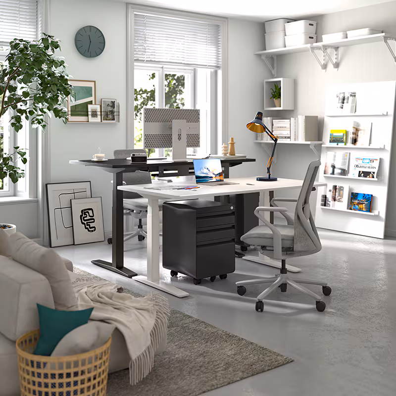 FlexiSpot Premium Standing Desk (E7 Pro)