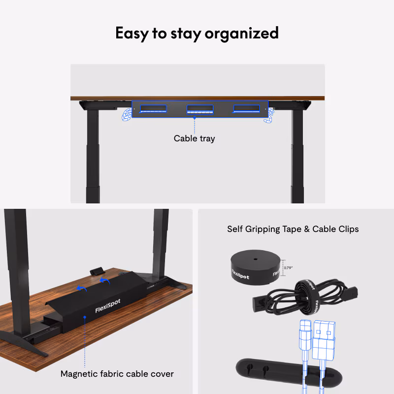 FlexiSpot Premium Standing Desk (E7 Pro)