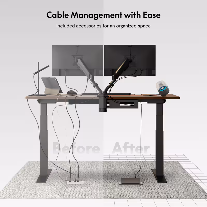 FlexiSpot Premium Standing Desk (E7 Pro)