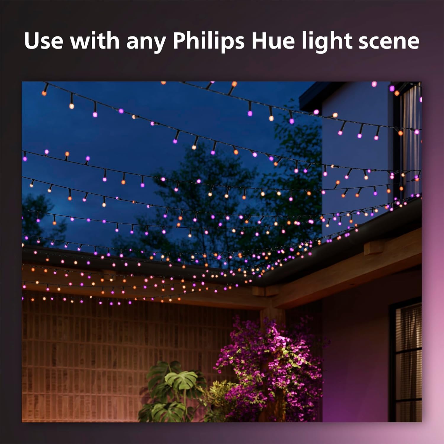 Philips Hue Festavia String Lights 20M, 250 LED's, Fairy Lights, Indoor Lighting