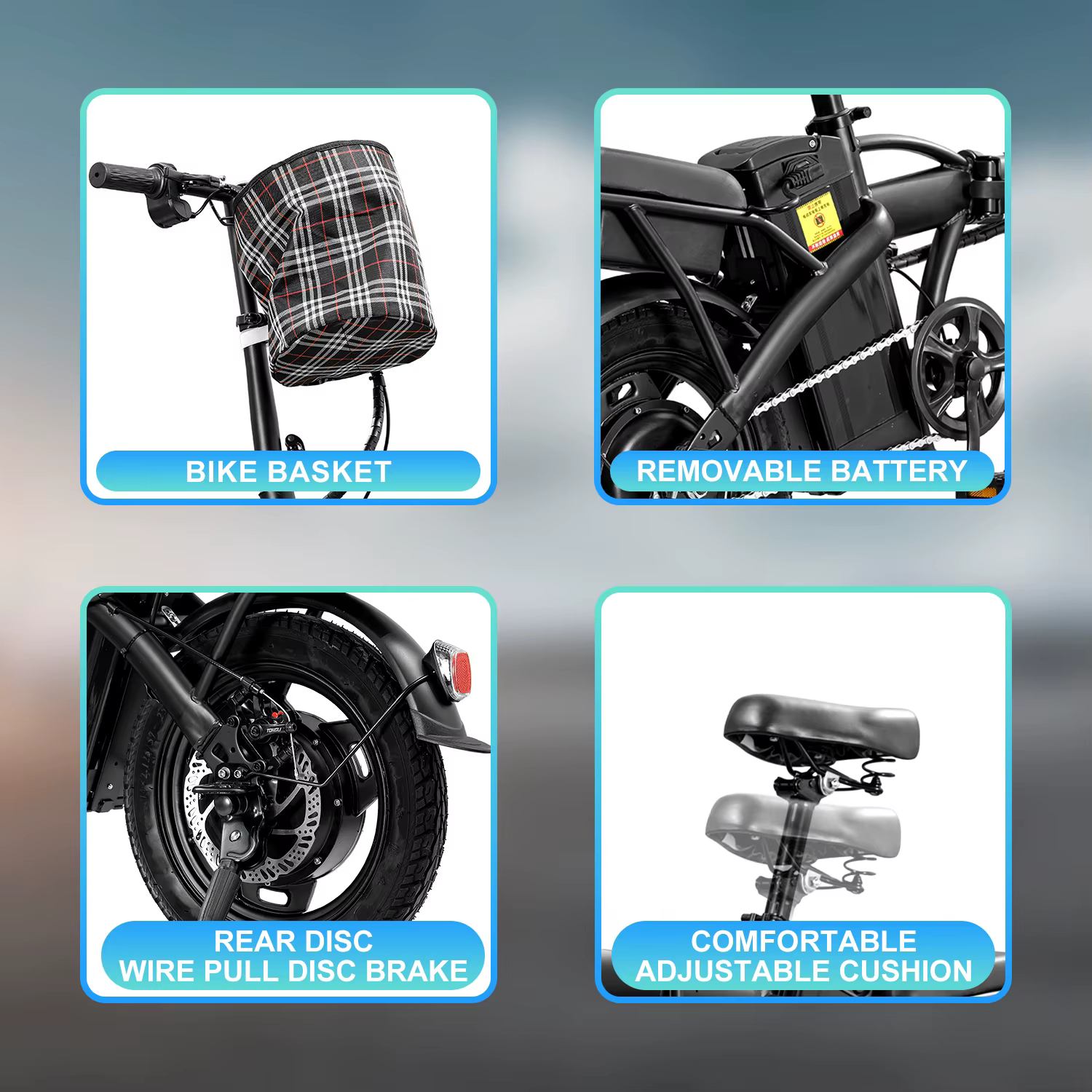 Folding Ebike Carbon Steel