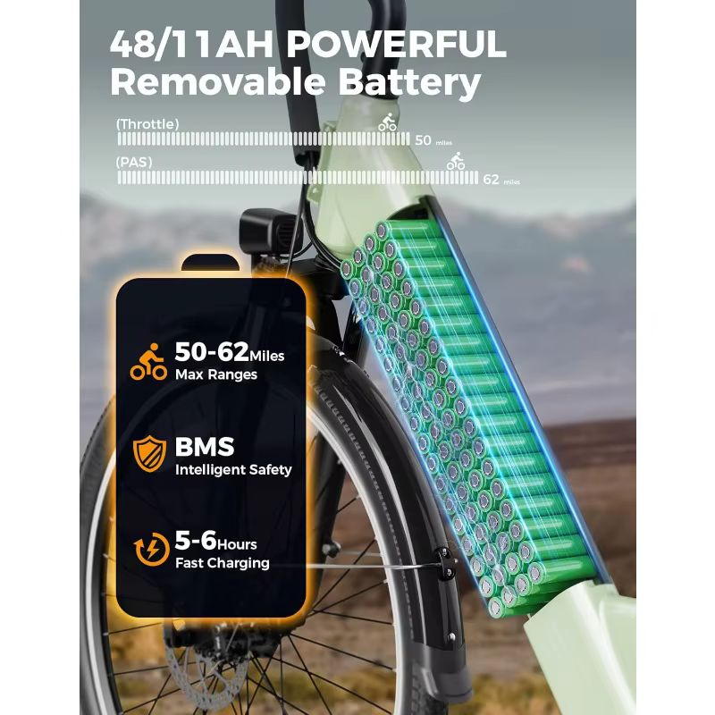 Roamer ST Electric Bike for Adults