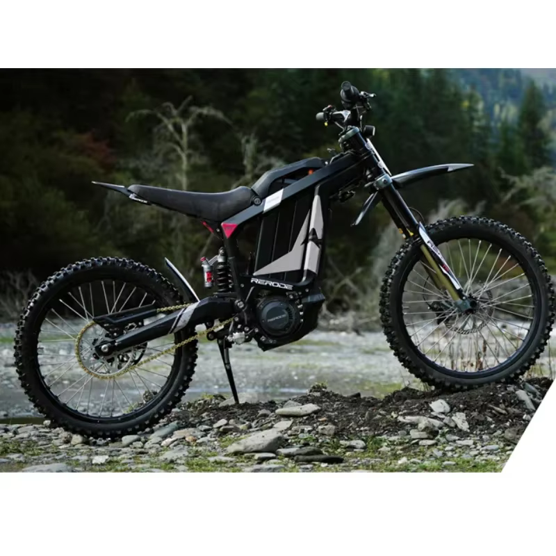 Electric Dirt Bike