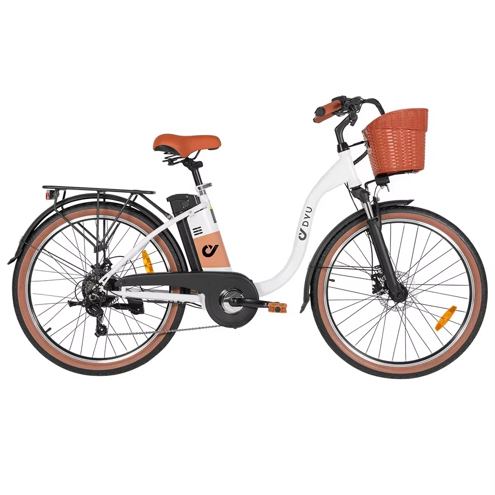 DYU C6 pro Adult Electric Bicycle