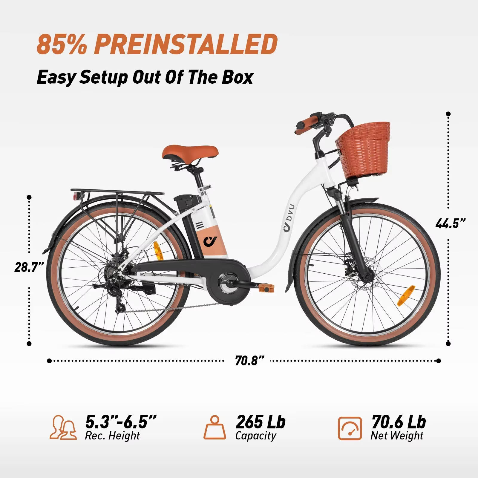 DYU C6 pro Adult Electric Bicycle