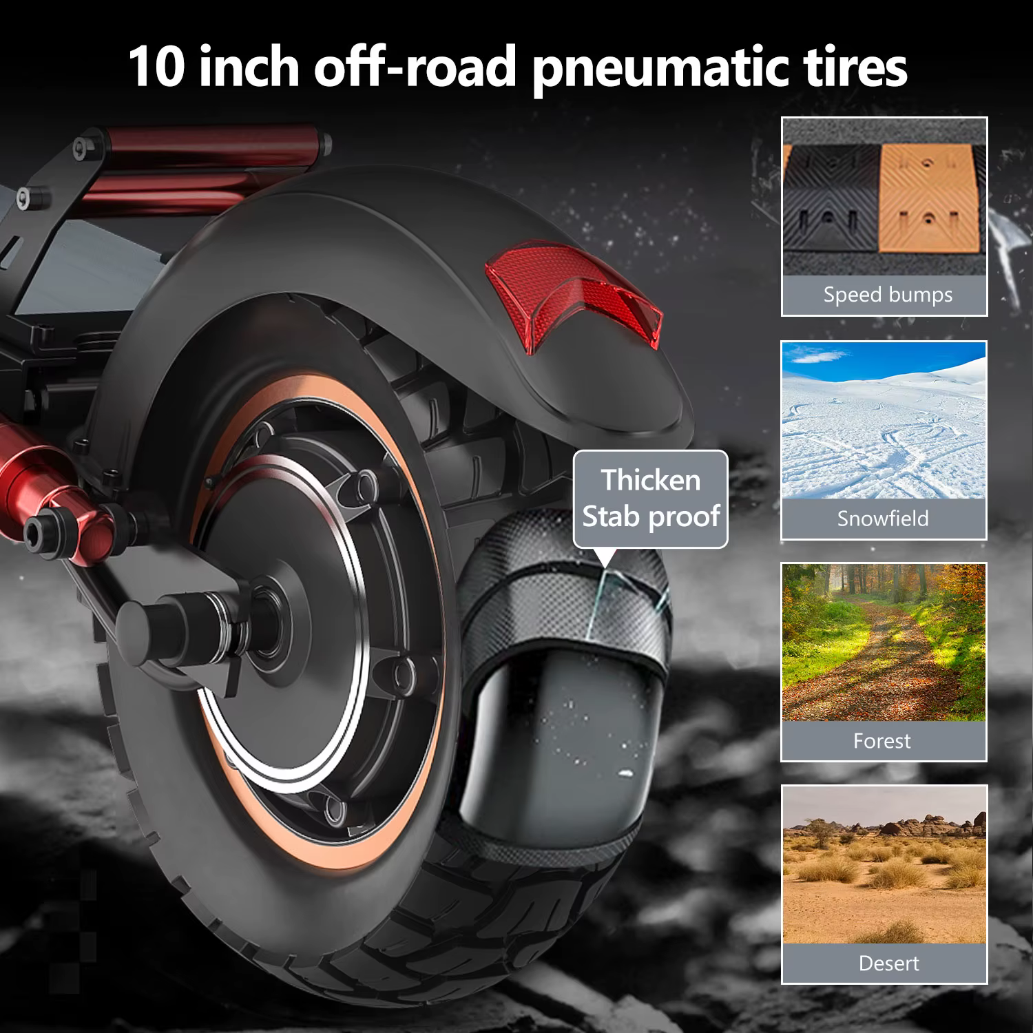 Electric Scooter 800W Motor