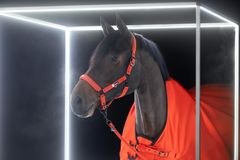 SPARKLE DOUBLE PIN<br>HEADCOLLAR