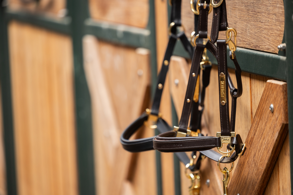 LEATHER ELEGANCE<br>HEADCOLLAR