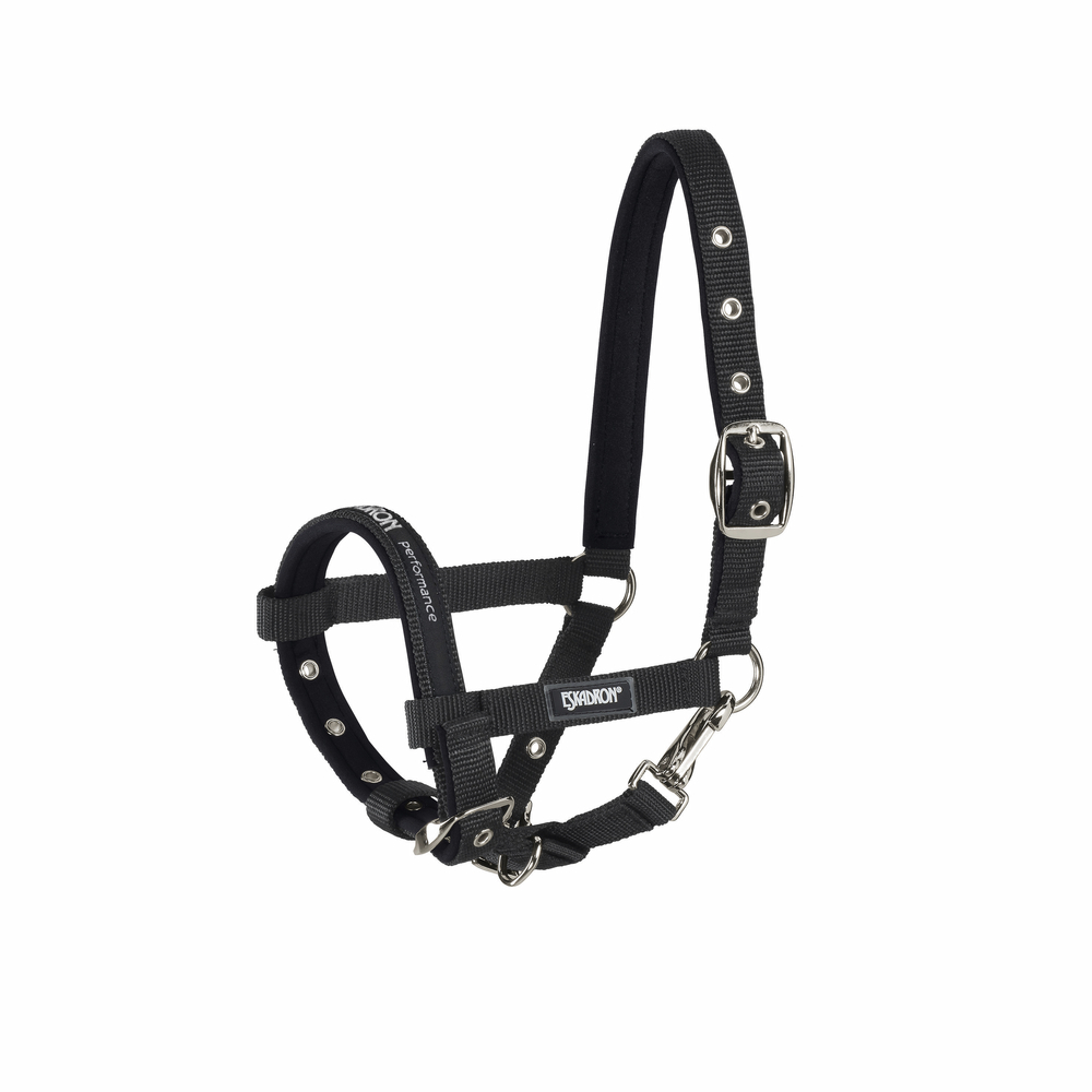 FOHLEN<br>HEADCOLLAR