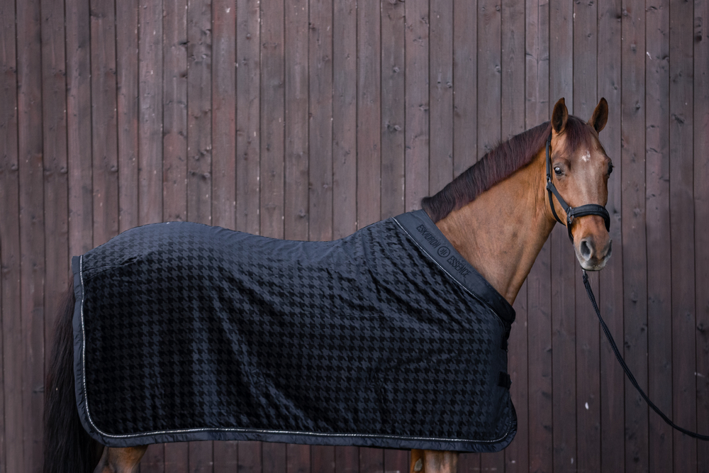 VELVET ESSENCE LIMITED<br>SHOWRUG