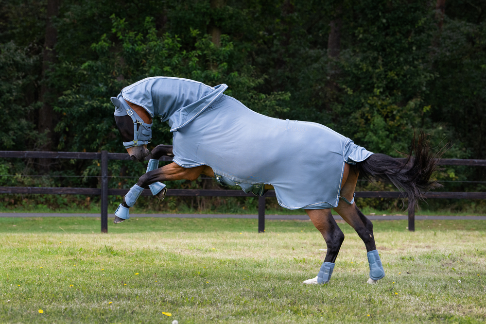 FLY DETACH-NECK<br>FLY RUG