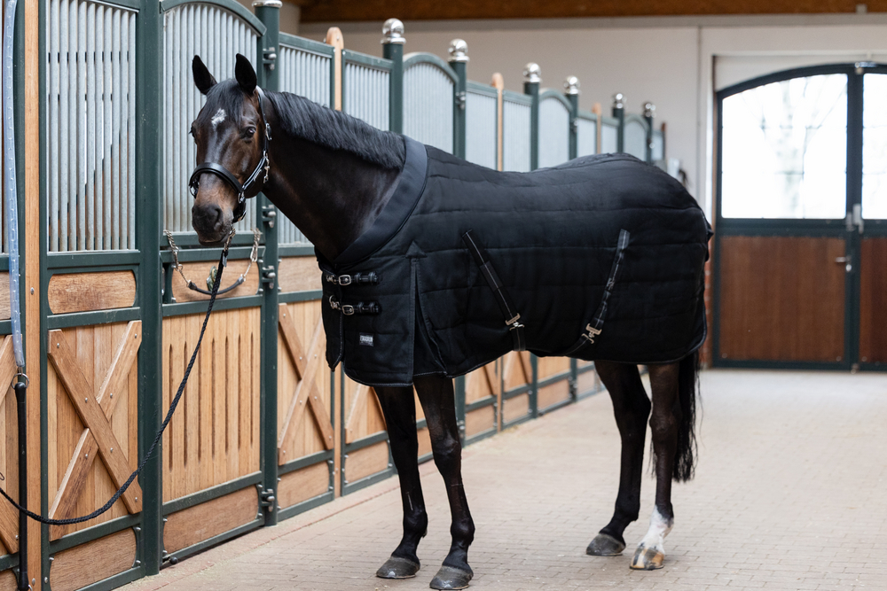 SIGMA STABLE 220<br>STABLE RUG