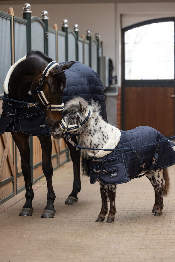 ZETA 200<br>STABLE RUG