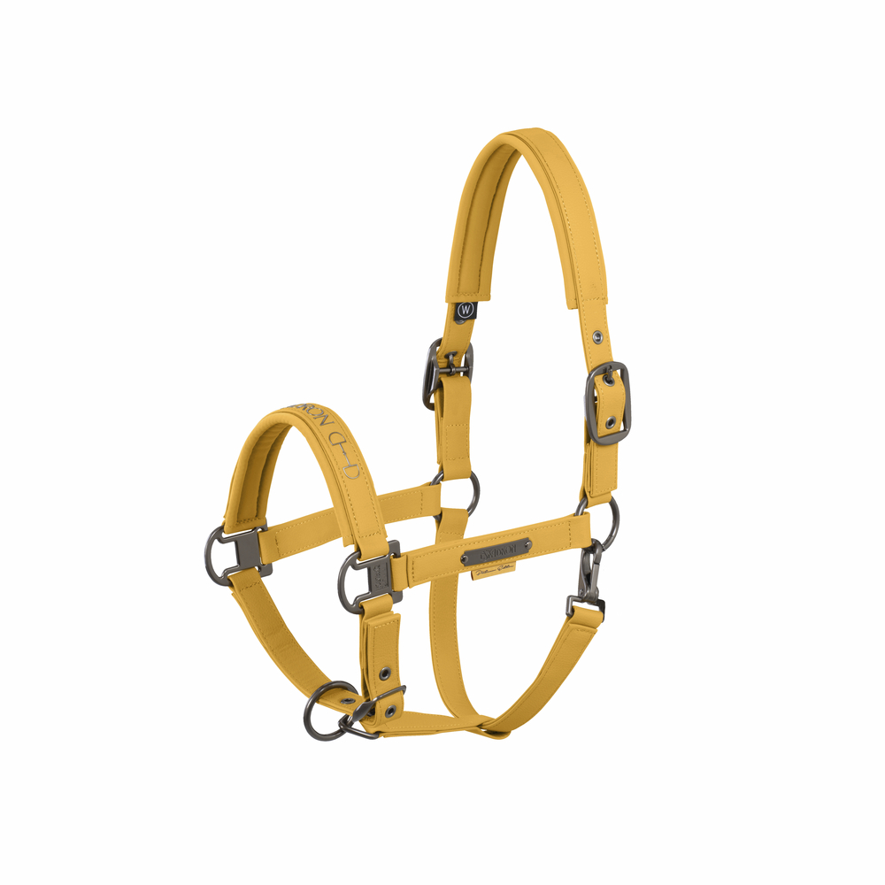 FAUX LEATHER DOUBLE PIN<br>HEADCOLLAR