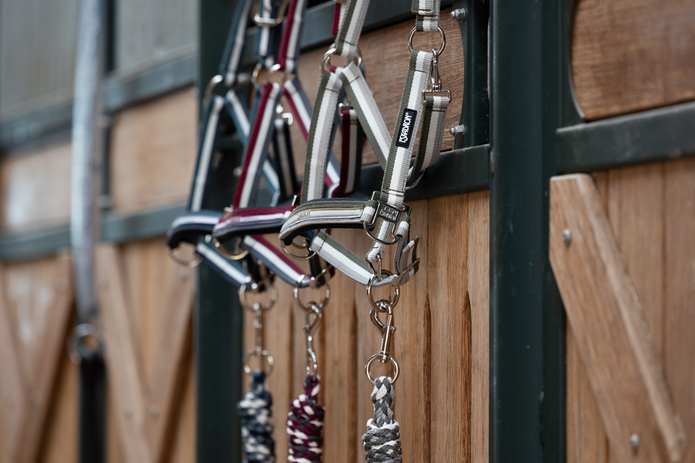 PIN BUCKLE<br>HEADCOLLAR