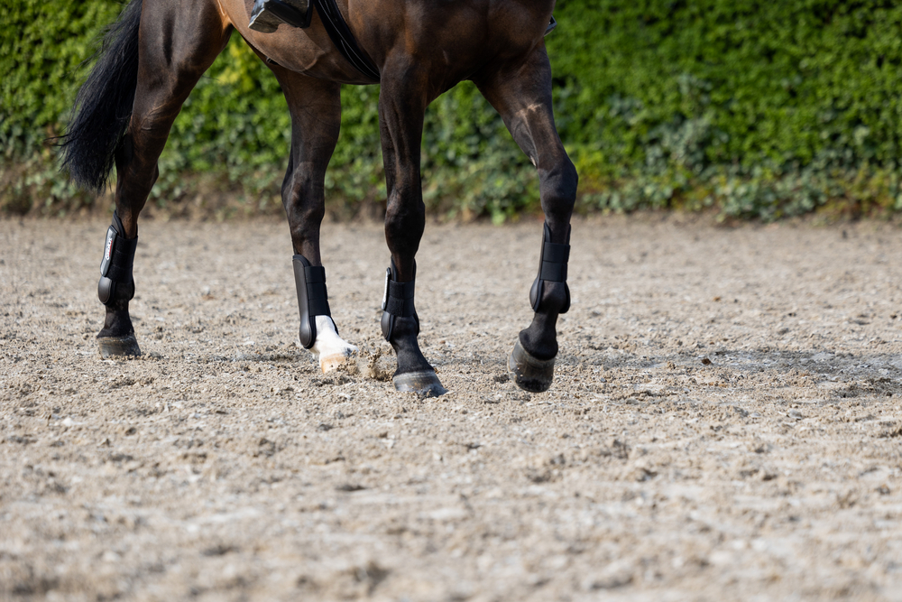 PROTECTION BOOTS F<br>TENDON